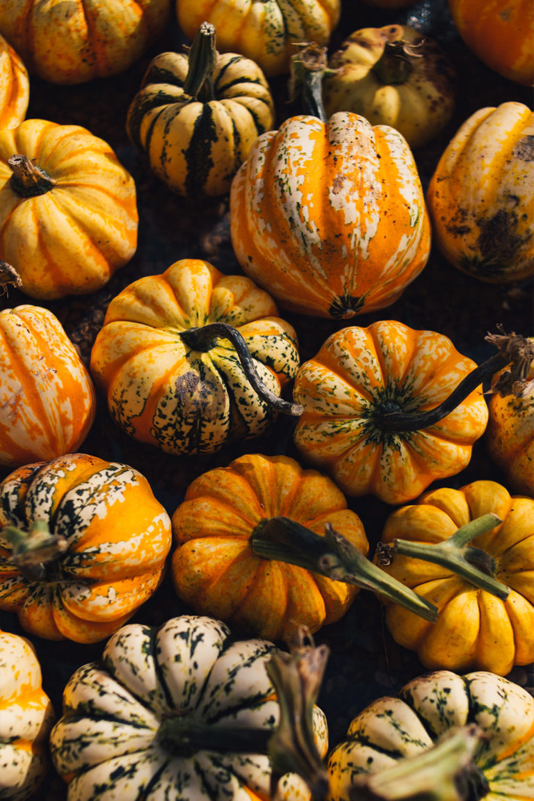 daniel-fazio-oK9EKfqv8HE-unsplajsh