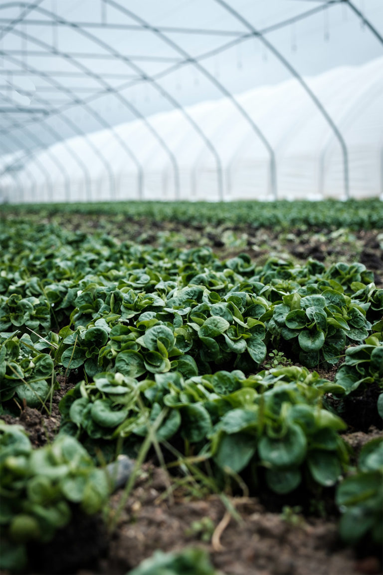 daniel-fazio-oK9eshrdxrtjhEKfqv8HE-unsplash